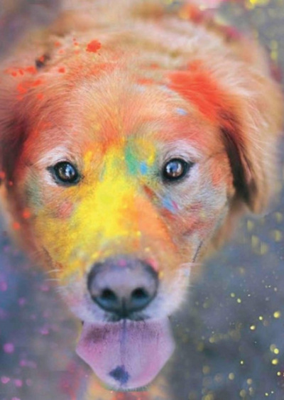 Догхантер. Радужный мост - Евгений Сафронов - Лучшие аудиокниги слушать онлайн бесплатно Новые аудиокниги mp3 (мп3) на сайте mp3-knigi-audio.com