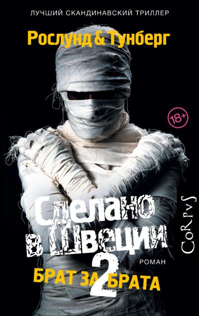 Брат за брата - Андерс Рослунд, Стефан Тунберг - Лучшие аудиокниги слушать онлайн бесплатно Новые аудиокниги mp3 (мп3) на сайте mp3-knigi-audio.com