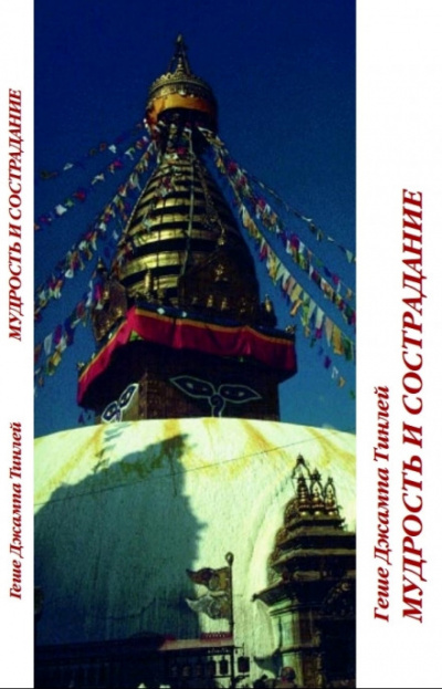 Мудрость и сострадание - Геше Джампа Тинлей - Лучшие аудиокниги слушать онлайн бесплатно Новые аудиокниги mp3 (мп3) на сайте mp3-knigi-audio.com