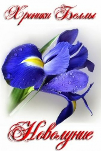 Новолуние - Екатерина Мишина - Лучшие аудиокниги слушать онлайн бесплатно Новые аудиокниги mp3 (мп3) на сайте mp3-knigi-audio.com