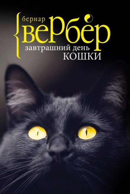 Завтрашний день кошки - Бернард Вербер - Лучшие аудиокниги слушать онлайн бесплатно Новые аудиокниги mp3 (мп3) на сайте mp3-knigi-audio.com