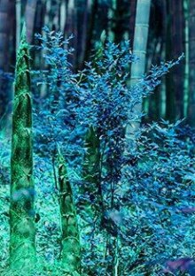 Отец-двойник - Филип Дик - Лучшие аудиокниги слушать онлайн бесплатно Новые аудиокниги mp3 (мп3) на сайте mp3-knigi-audio.com