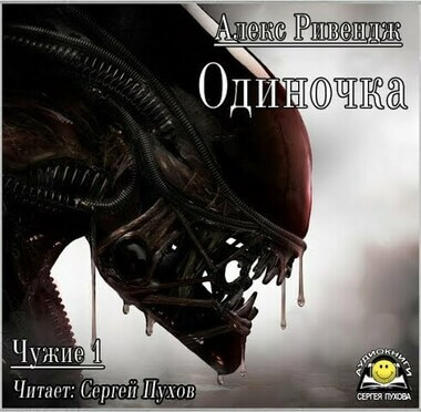 Одиночка - Алекс Ривендж - Лучшие аудиокниги слушать онлайн бесплатно Новые аудиокниги mp3 (мп3) на сайте mp3-knigi-audio.com