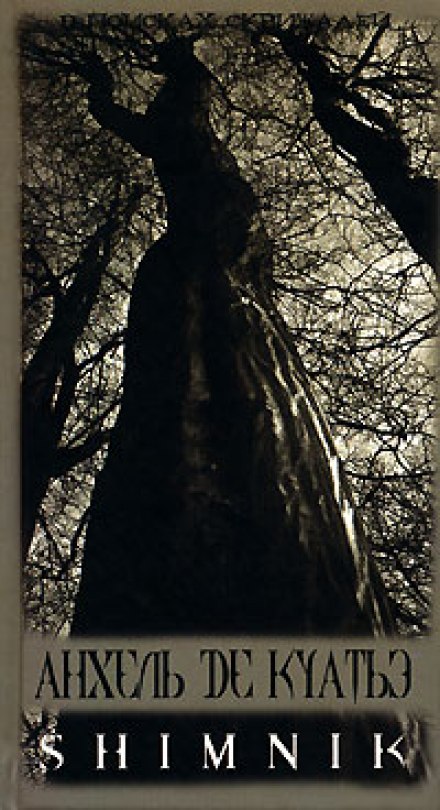 Схимник - Анхель де Куатьэ - Лучшие аудиокниги слушать онлайн бесплатно Новые аудиокниги mp3 (мп3) на сайте mp3-knigi-audio.com