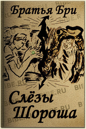 Слёзы Шороша. Книга 3 - Братья Бри - Лучшие аудиокниги слушать онлайн бесплатно Новые аудиокниги mp3 (мп3) на сайте mp3-knigi-audio.com