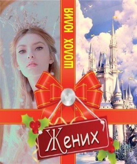 Жених - Юлия Шолох - Лучшие аудиокниги слушать онлайн бесплатно Новые аудиокниги mp3 (мп3) на сайте mp3-knigi-audio.com