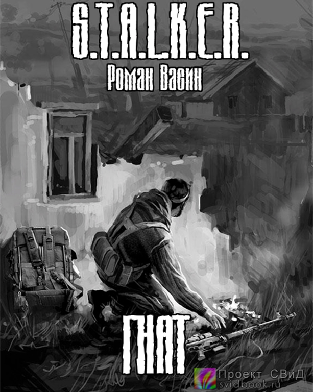 Гнат ( S.T.A.L.K.E.R.) - Роман Васин - Лучшие аудиокниги слушать онлайн бесплатно Новые аудиокниги mp3 (мп3) на сайте mp3-knigi-audio.com