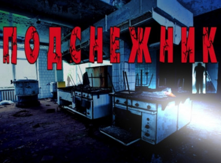 Подснежник - Георгий Немов - Лучшие аудиокниги слушать онлайн бесплатно Новые аудиокниги mp3 (мп3) на сайте mp3-knigi-audio.com