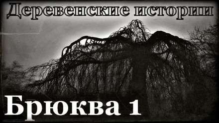 Брюква - Роман Пономарев - Лучшие аудиокниги слушать онлайн бесплатно Новые аудиокниги mp3 (мп3) на сайте mp3-knigi-audio.com