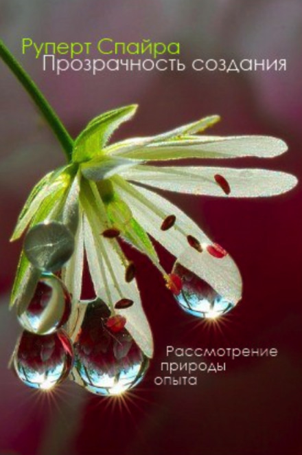 Прозрачность создания - Руперт Спайра - Лучшие аудиокниги слушать онлайн бесплатно Новые аудиокниги mp3 (мп3) на сайте mp3-knigi-audio.com