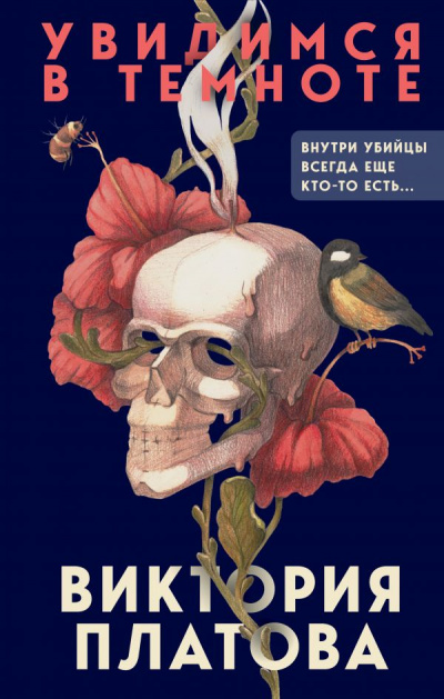 Увидимся в темноте - Виктория Платова - Лучшие аудиокниги слушать онлайн бесплатно Новые аудиокниги mp3 (мп3) на сайте mp3-knigi-audio.com