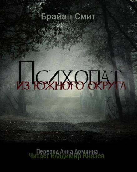 Психопат из южного округа - Брайан Смит - Лучшие аудиокниги слушать онлайн бесплатно Новые аудиокниги mp3 (мп3) на сайте mp3-knigi-audio.com