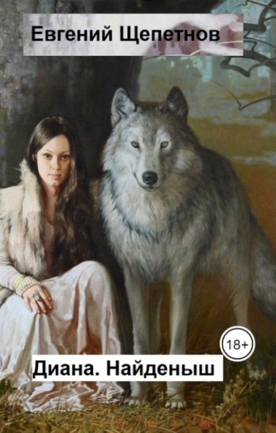 Найденыш - Евгений Щепетнов - Лучшие аудиокниги слушать онлайн бесплатно Новые аудиокниги mp3 (мп3) на сайте mp3-knigi-audio.com