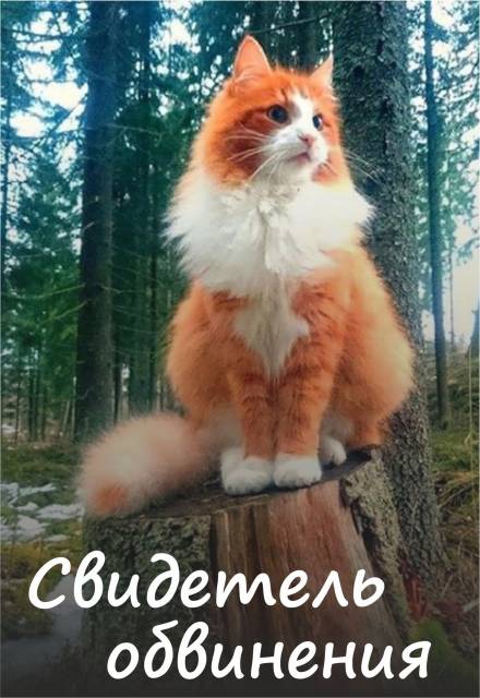 Свидетель обвинения - Алена Волгина - Лучшие аудиокниги слушать онлайн бесплатно Новые аудиокниги mp3 (мп3) на сайте mp3-knigi-audio.com