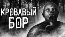 Кровавый бор - Даниил Авдеев - Лучшие аудиокниги слушать онлайн бесплатно Новые аудиокниги mp3 (мп3) на сайте mp3-knigi-audio.com