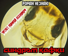 Синдром Кафки - Роман Незнаю - Лучшие аудиокниги слушать онлайн бесплатно Новые аудиокниги mp3 (мп3) на сайте mp3-knigi-audio.com