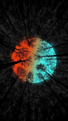 Дом колдуна - Автор неизвестен - Лучшие аудиокниги слушать онлайн бесплатно Новые аудиокниги mp3 (мп3) на сайте mp3-knigi-audio.com