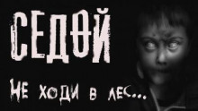 Седой - Феликс Бек - Лучшие аудиокниги слушать онлайн бесплатно Новые аудиокниги mp3 (мп3) на сайте mp3-knigi-audio.com