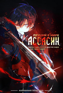 Лучший в мире ассасин, переродившийся в другом мире как аристократ. Том 1 - Цукиё Руи - Лучшие аудиокниги слушать онлайн бесплатно Новые аудиокниги mp3 (мп3) на сайте mp3-knigi-audio.com