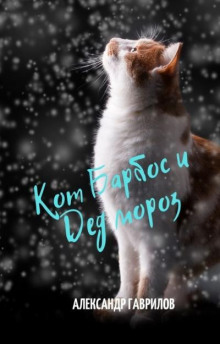 Кот Барбос и Дед Мороз - Александр Гаврилов - Лучшие аудиокниги слушать онлайн бесплатно Новые аудиокниги mp3 (мп3) на сайте mp3-knigi-audio.com