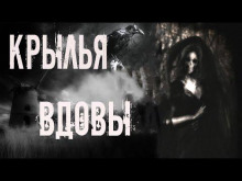 Крылья вдовы - Мария Токарева - Лучшие аудиокниги слушать онлайн бесплатно Новые аудиокниги mp3 (мп3) на сайте mp3-knigi-audio.com