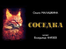 Соседка - Ольга Малашкина - Лучшие аудиокниги слушать онлайн бесплатно Новые аудиокниги mp3 (мп3) на сайте mp3-knigi-audio.com
