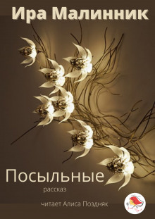 Посыльные - Ира Малинник - Лучшие аудиокниги слушать онлайн бесплатно Новые аудиокниги mp3 (мп3) на сайте mp3-knigi-audio.com