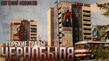 Горькие Травы Чернобыля - Автор неизвестен - Лучшие аудиокниги слушать онлайн бесплатно Новые аудиокниги mp3 (мп3) на сайте mp3-knigi-audio.com