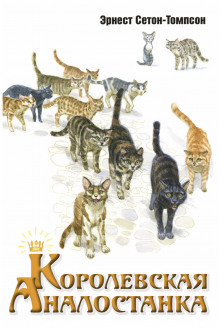 Королевская Аналостанка - Эрнест Сетон-Томпсон - Лучшие аудиокниги слушать онлайн бесплатно Новые аудиокниги mp3 (мп3) на сайте mp3-knigi-audio.com
