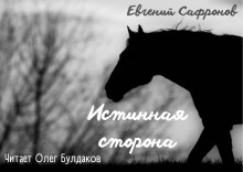 Истинная сторона - Евгений Сафронов - Лучшие аудиокниги слушать онлайн бесплатно Новые аудиокниги mp3 (мп3) на сайте mp3-knigi-audio.com