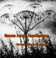 Переборщили - Автор неизвестен - Лучшие аудиокниги слушать онлайн бесплатно Новые аудиокниги mp3 (мп3) на сайте mp3-knigi-audio.com