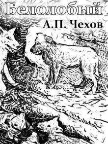 Белолобый - Антон Чехов - Лучшие аудиокниги слушать онлайн бесплатно Новые аудиокниги mp3 (мп3) на сайте mp3-knigi-audio.com