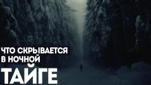 Ямщик - Автор неизвестен - Лучшие аудиокниги слушать онлайн бесплатно Новые аудиокниги mp3 (мп3) на сайте mp3-knigi-audio.com