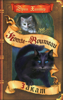 Закат - Черит Болдри - Лучшие аудиокниги слушать онлайн бесплатно Новые аудиокниги mp3 (мп3) на сайте mp3-knigi-audio.com