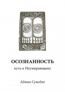 Осознанность путь к Неумирающему - Аджан Сумедхо - Лучшие аудиокниги слушать онлайн бесплатно Новые аудиокниги mp3 (мп3) на сайте mp3-knigi-audio.com