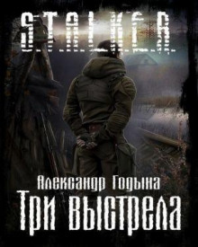 S.T.A.L.K.E.R. Три выстрела - Александр Годына - Лучшие аудиокниги слушать онлайн бесплатно Новые аудиокниги mp3 (мп3) на сайте mp3-knigi-audio.com