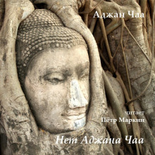 Нет Аджана Чаа - Аджан Чаа - Лучшие аудиокниги слушать онлайн бесплатно Новые аудиокниги mp3 (мп3) на сайте mp3-knigi-audio.com