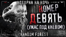 Номер девять - Random Forest - Лучшие аудиокниги слушать онлайн бесплатно Новые аудиокниги mp3 (мп3) на сайте mp3-knigi-audio.com