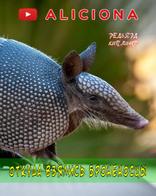 Откуда взялись броненосцы - Киплинг Редьярд - Лучшие аудиокниги слушать онлайн бесплатно Новые аудиокниги mp3 (мп3) на сайте mp3-knigi-audio.com