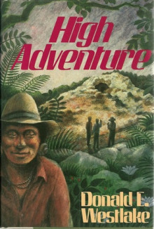 Приключение — что надо! - Дональд Уэстлейк - Лучшие аудиокниги слушать онлайн бесплатно Новые аудиокниги mp3 (мп3) на сайте mp3-knigi-audio.com