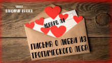 Письма о любви из тропического леса - Эдвард Ли - Лучшие аудиокниги слушать онлайн бесплатно Новые аудиокниги mp3 (мп3) на сайте mp3-knigi-audio.com