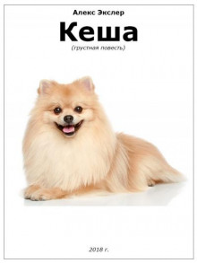 Кеша - Алекс Экслер - Лучшие аудиокниги слушать онлайн бесплатно Новые аудиокниги mp3 (мп3) на сайте mp3-knigi-audio.com