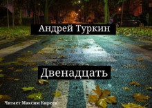 Двенадцать - Андрей Туркин - Лучшие аудиокниги слушать онлайн бесплатно Новые аудиокниги mp3 (мп3) на сайте mp3-knigi-audio.com