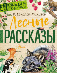Детство - Иван Соколов-Микитов - Лучшие аудиокниги слушать онлайн бесплатно Новые аудиокниги mp3 (мп3) на сайте mp3-knigi-audio.com