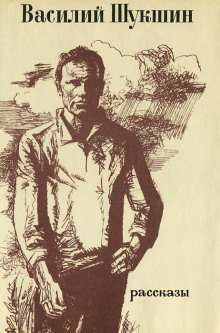 Рассказы - Василий Шукшин - Лучшие аудиокниги слушать онлайн бесплатно Новые аудиокниги mp3 (мп3) на сайте mp3-knigi-audio.com