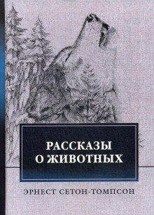 Виннипегский волк - Эрнест Сетон-Томпсон - Лучшие аудиокниги слушать онлайн бесплатно Новые аудиокниги mp3 (мп3) на сайте mp3-knigi-audio.com