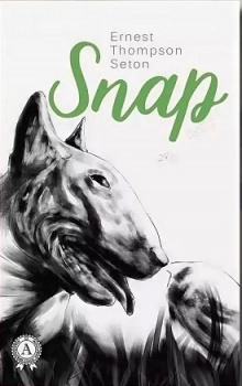 Снап - Эрнест Сетон-Томпсон - Лучшие аудиокниги слушать онлайн бесплатно Новые аудиокниги mp3 (мп3) на сайте mp3-knigi-audio.com