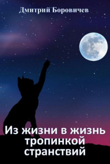 Из жизни в жизнь тропинкой странствий - Дмитрий Боровичёв - Лучшие аудиокниги слушать онлайн бесплатно Новые аудиокниги mp3 (мп3) на сайте mp3-knigi-audio.com
