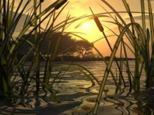 Тишиною благословенная - Ольга Лихобабина - Лучшие аудиокниги слушать онлайн бесплатно Новые аудиокниги mp3 (мп3) на сайте mp3-knigi-audio.com