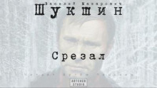 Срезал - Василий Шукшин - Лучшие аудиокниги слушать онлайн бесплатно Новые аудиокниги mp3 (мп3) на сайте mp3-knigi-audio.com